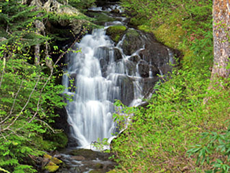 roadside waterfall graphic